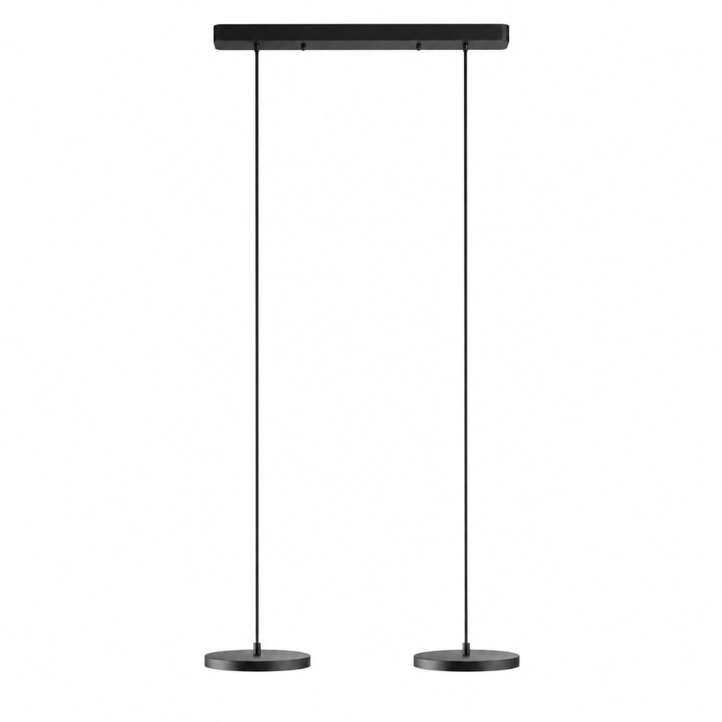 Zwarte hanglamp met 2 lichtpunten